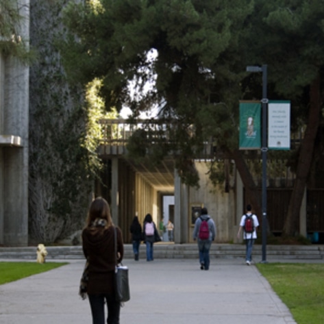 UCSD's Vegan Restaurant
