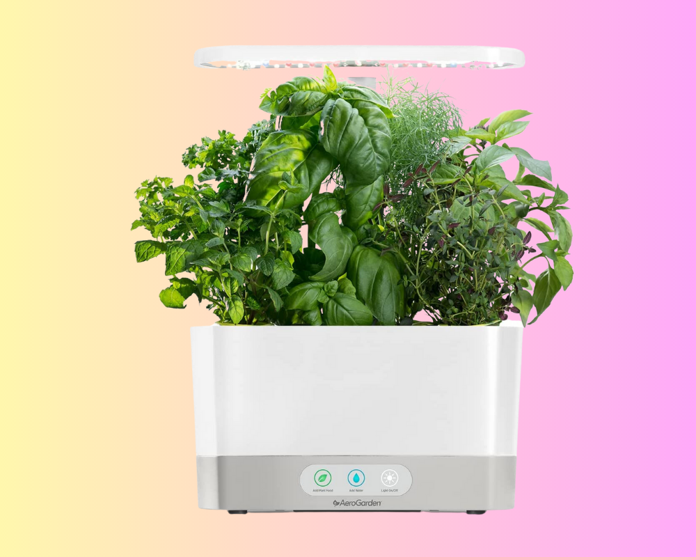 VegNews.amazonprime.aerogarden