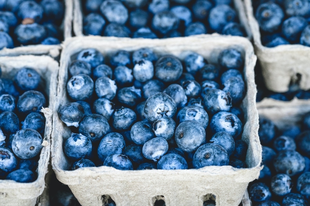 VegNews.summerfruitsblueberries.pexels