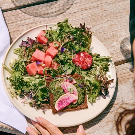 The Guide to Plant-Based Meal Delivery Subscriptions: How to Pick the Best Option