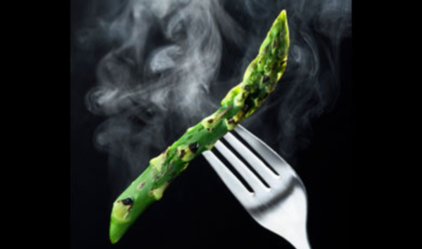 The New Raw Food Diet