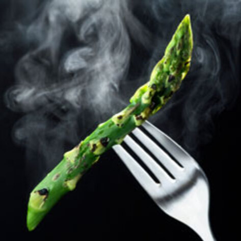 The New Raw Food Diet