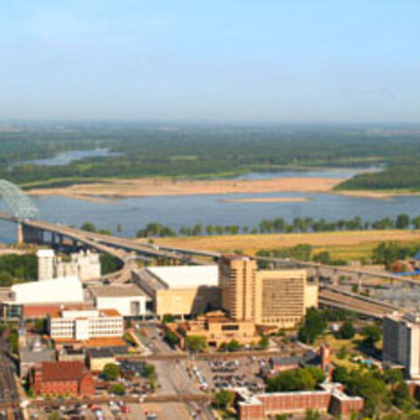 Veg To-Go Food in Memphis