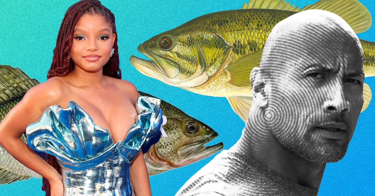 The Rock Should Take Notes From Halle Bailey About Fish (Plus, 5 Vegan Brands He Can Try)