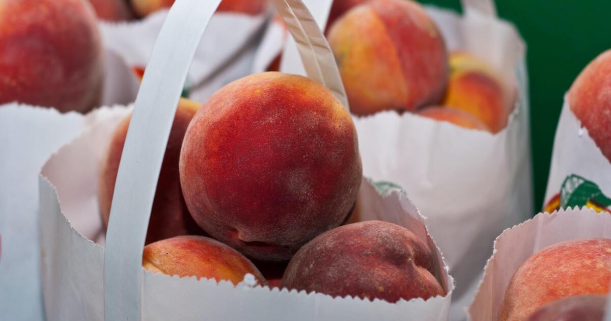 High Grade Red Nectarines Peach Delicious Nectarine From China