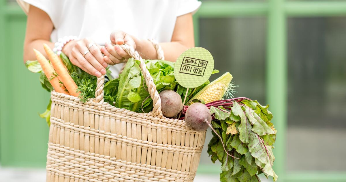 This Vertical Farm Gets the Price of Fresh Vegetables Down to  per Pound