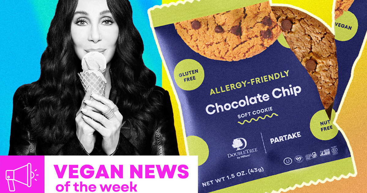 Vegan Foodstuff News of the 7 days: Cher’s Gelato, DoubleTree’s Chocolate Chip Cookies, and Extra