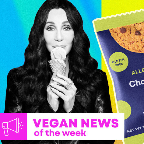 Vegan Food News of the Week: Cher's Gelato, DoubleTree's Chocolate Chip Cookies, and More