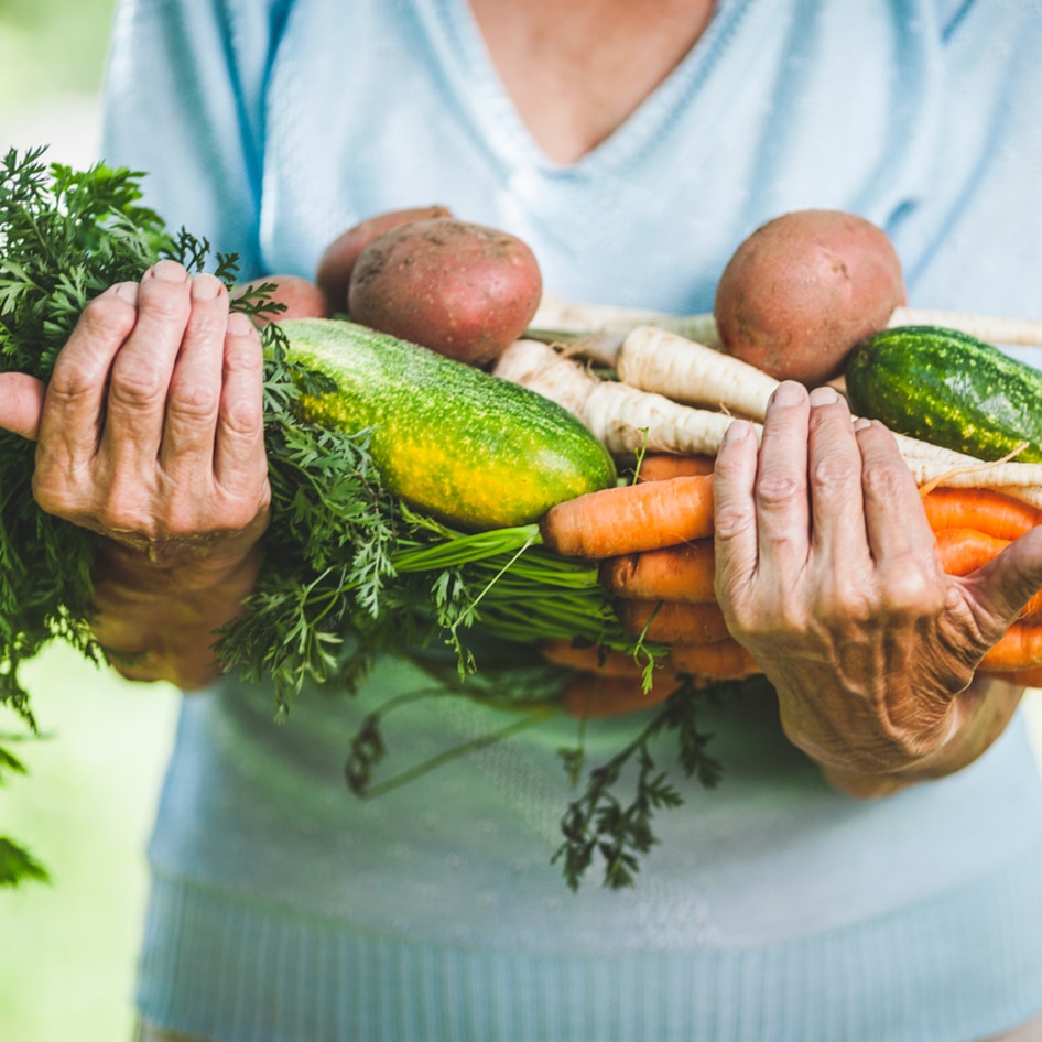 Is a Plant-Based Diet the Best for Senior Health?