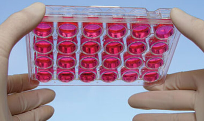 VND.LabScience