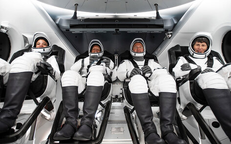 A Vegan Fungi Protein Bioreactor Is Aboard the New SpaceX Mission 