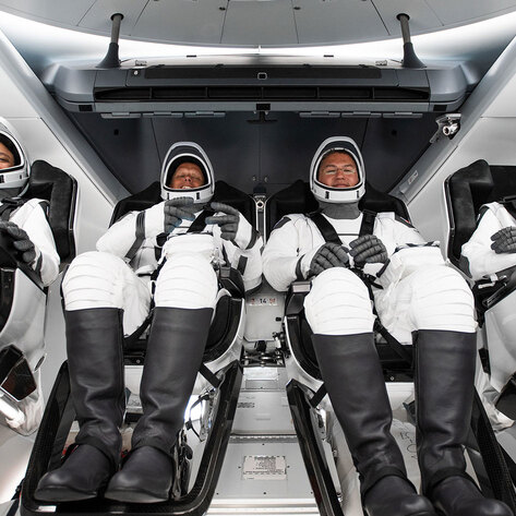 A Vegan Fungi Protein Bioreactor Is Aboard the New SpaceX Mission 