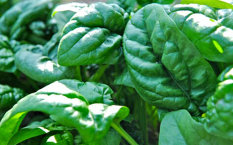 Antioxidant-Rich Foods Decrease Heart Attack Risk