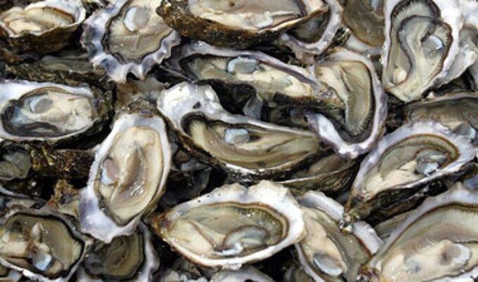 VND.Oysters