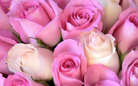 Ethical Valentine Gifts for Your Compassionate Sweetheart