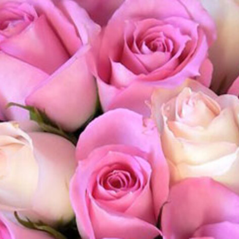 Ethical Valentine Gifts for Your Compassionate Sweetheart