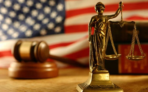 Current Bills and Laws Fighting for Animal Rights