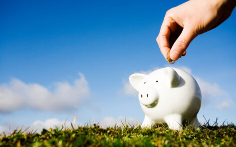 Launch a Vegan Business with Kickstarter