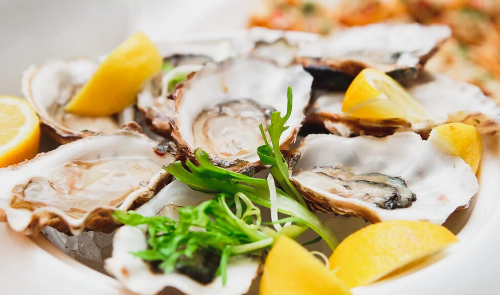 Vegan Oysters in Shells? This Startup Just Developed a Prototype to Save the Oceans
