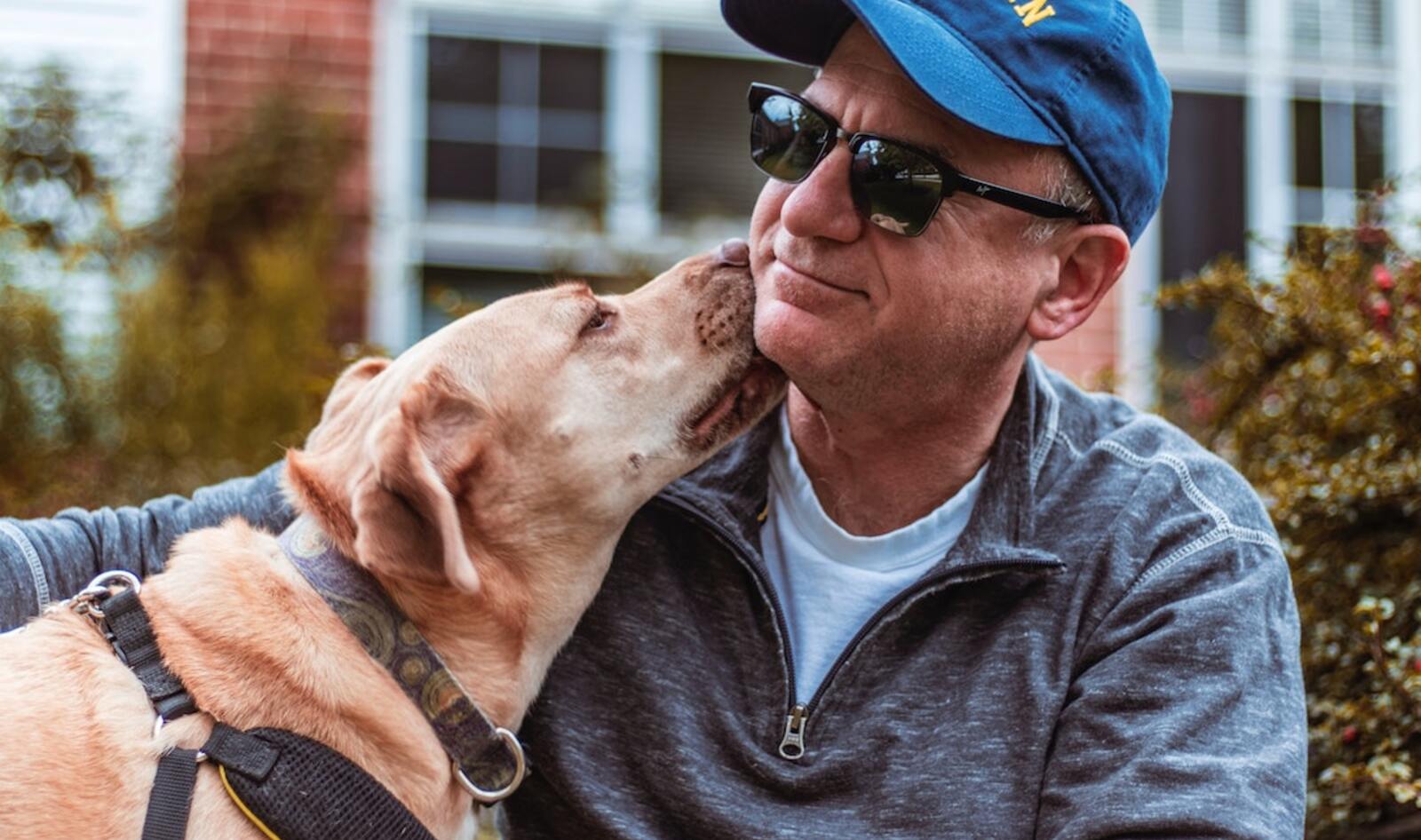 8 Vegan Companies That Give Back to Animals | VegNews 8 Vegan Companies That Give Back to Animals | VegNews