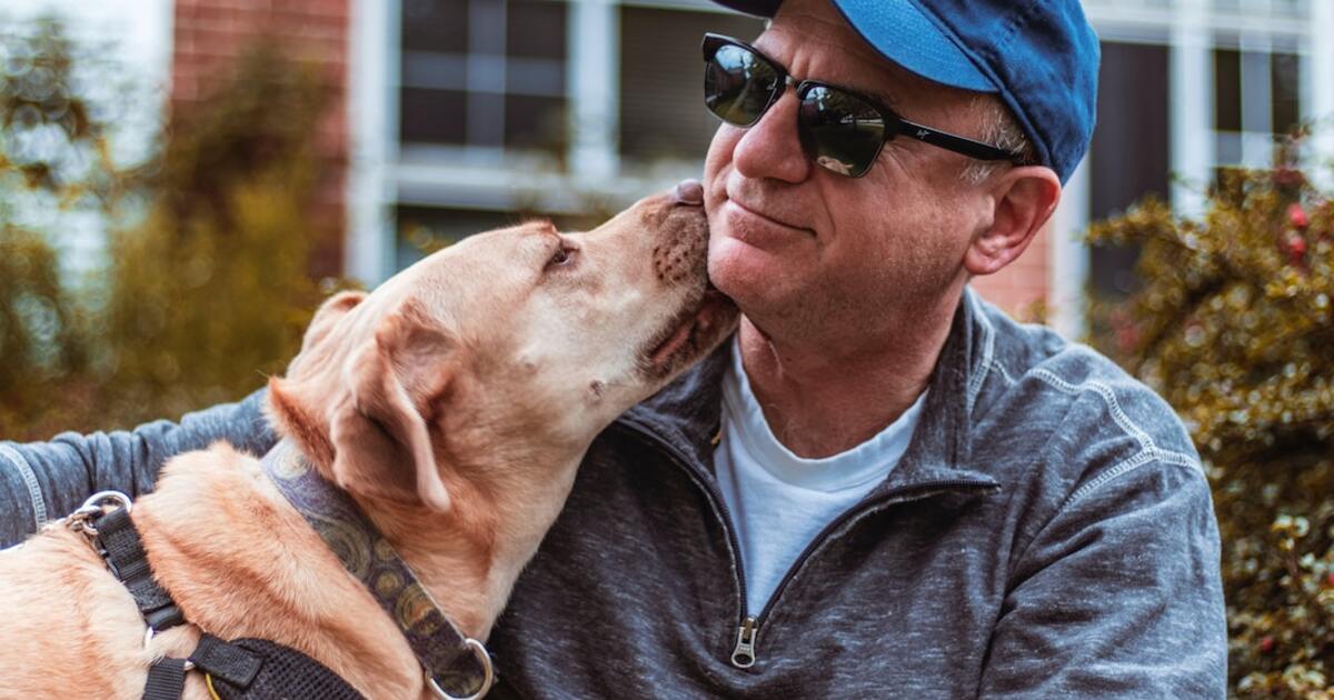 8 Vegan Companies That Give Back to Animals - Vimarsana News