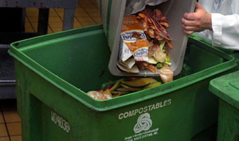 Guide to Composting and Recycling | VegNews