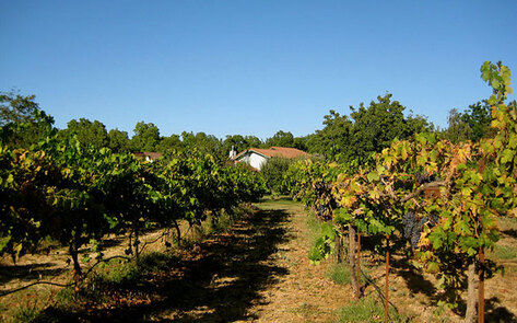 Sustainable Communities Doing Eco-Friendly Right