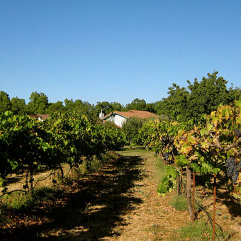 Sustainable Communities Doing Eco-Friendly Right