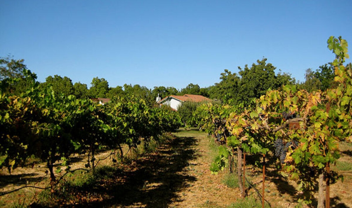 vittoria milan dating