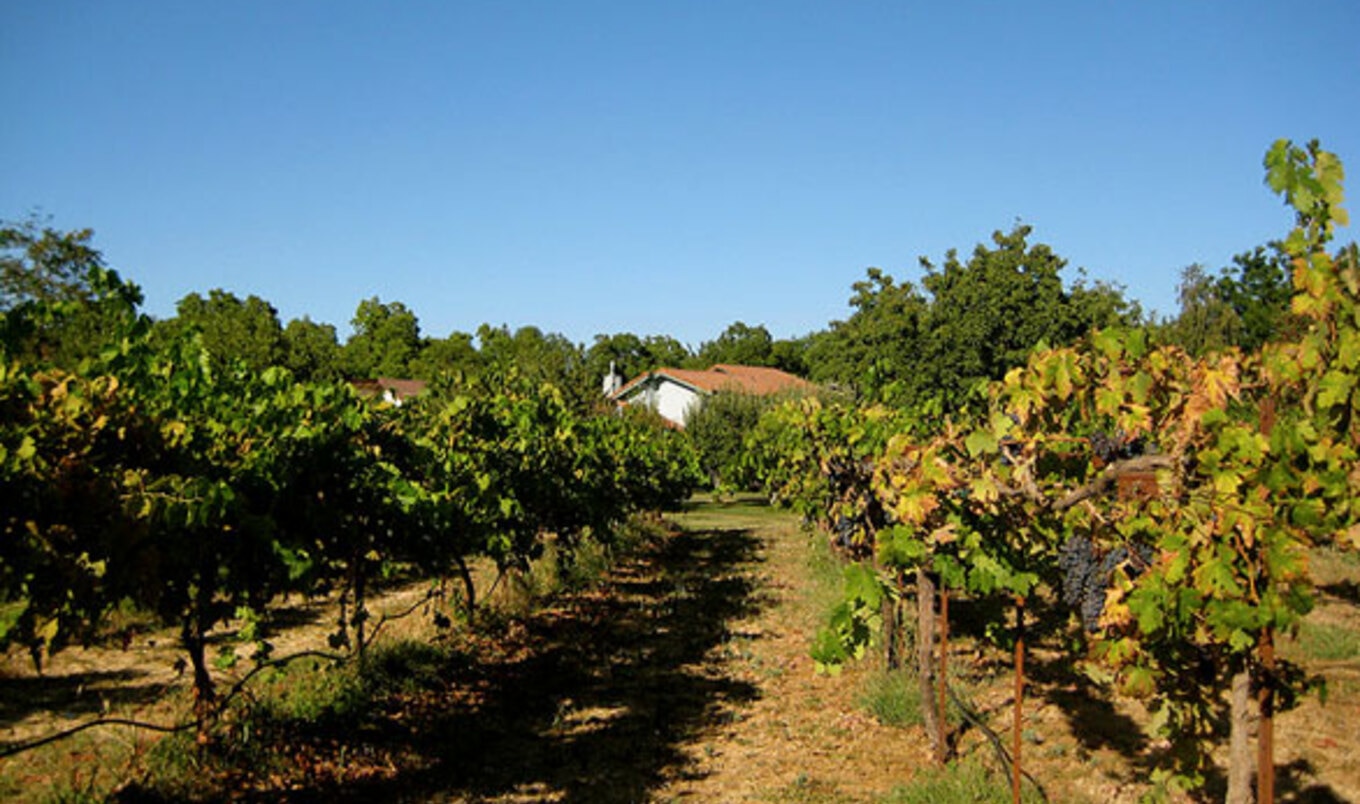 Sustainable Communities Doing Eco-Friendly Right