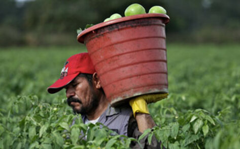 Inside the Life of a Factory Farm Worker