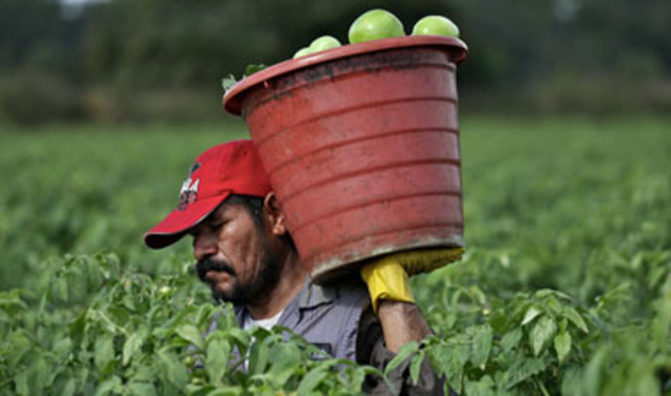 Inside the Life of a Factory Farm Worker