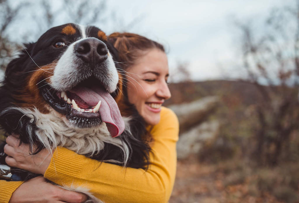 vegnews.womandog.istock