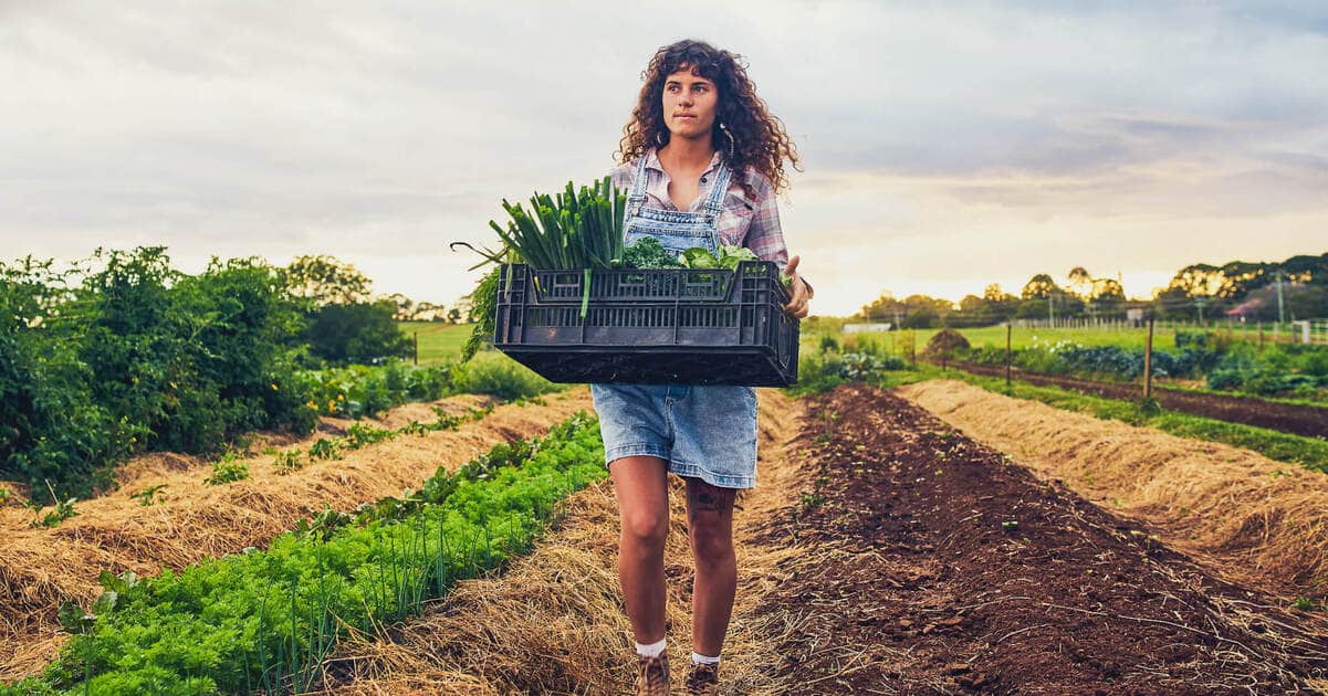 Can the $44 Billion Vegan Food Industry Help Save 1.5 Million Animal Agriculture Jobs? - Vimarsana News