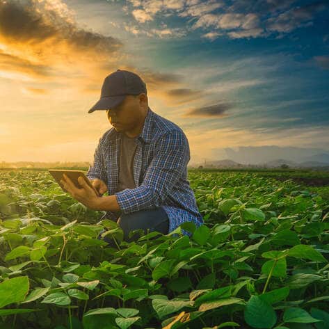 Tinder for Crops? How This Food Technology Company Is Improving Plant-Based Food