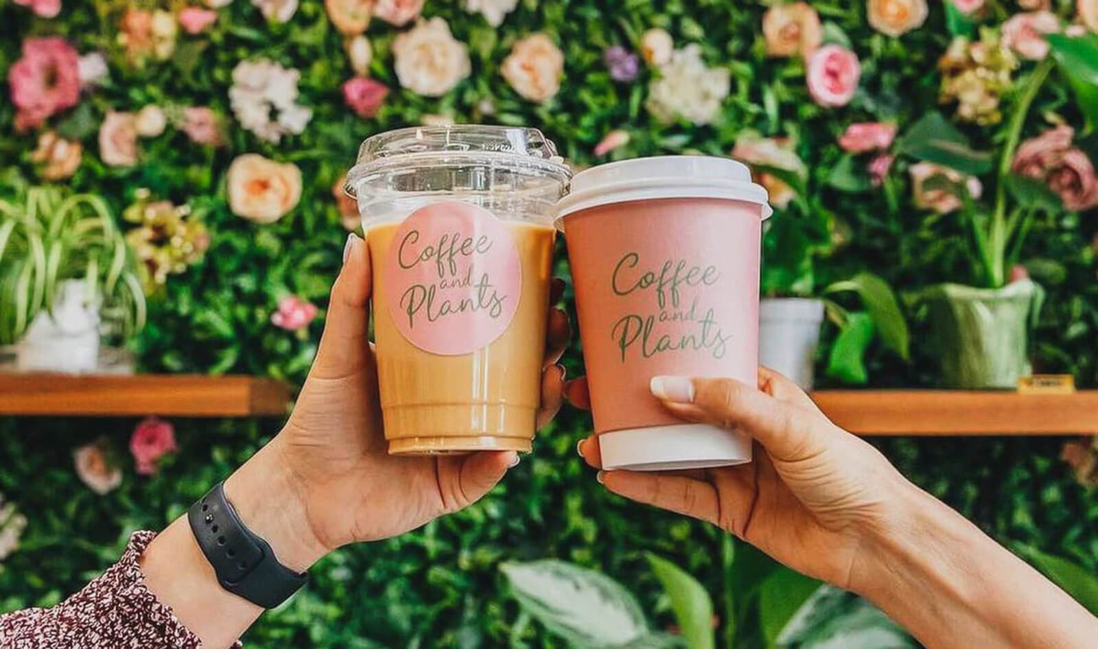 The 17 Best Vegan Coffee Shops in the US<br>