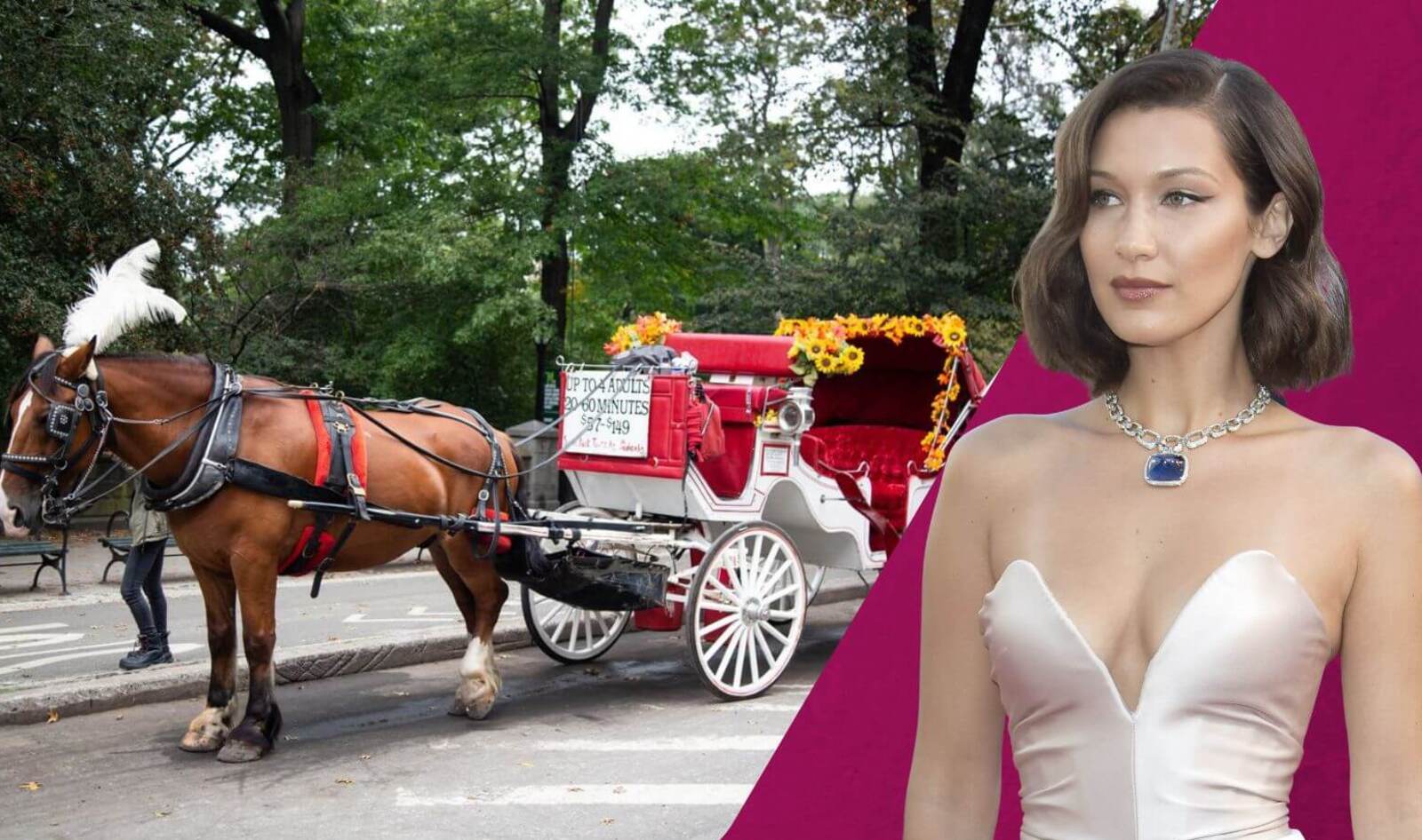 Bella Hadid Joins Fight to End New York City's Outdated Horse