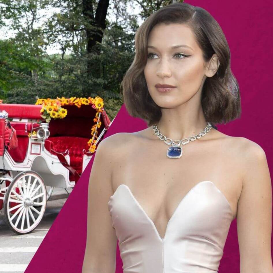 Bella Hadid Joins Fight to End New York City’s Outdated Horse Carriages
