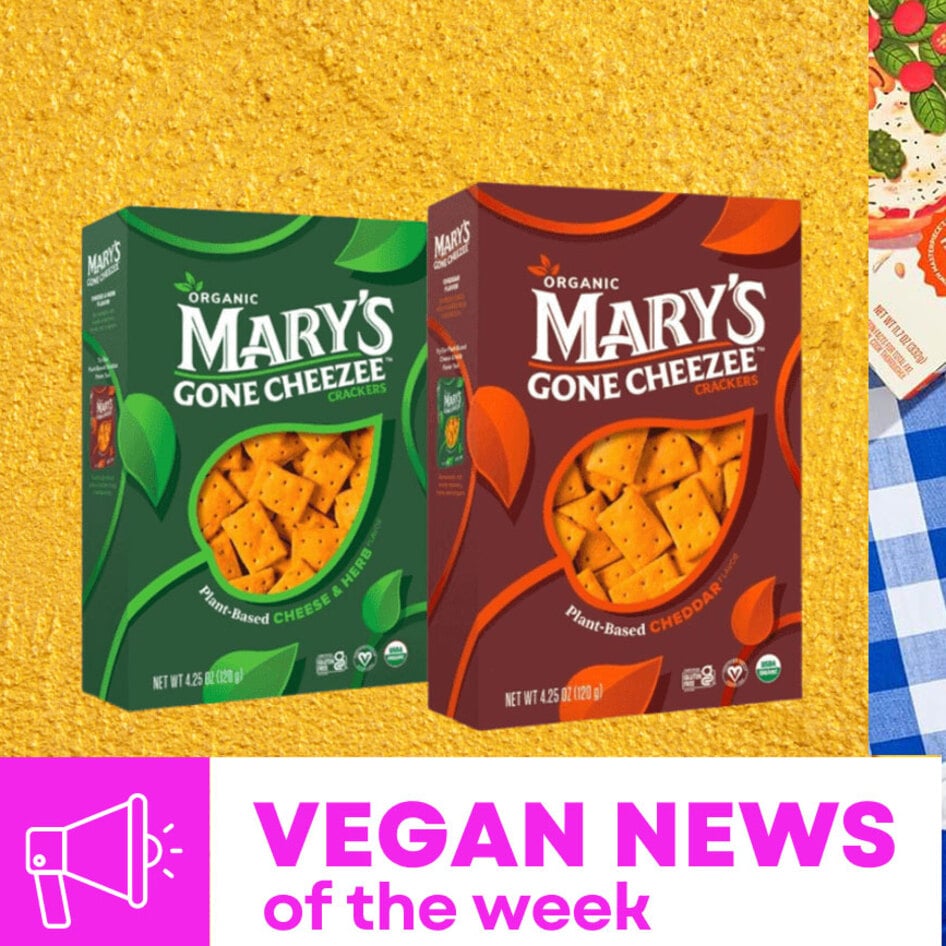 Mary's Gone Cheez-Its, Banza's DIY Pizzas, and More Vegan Food News of the Week&nbsp;