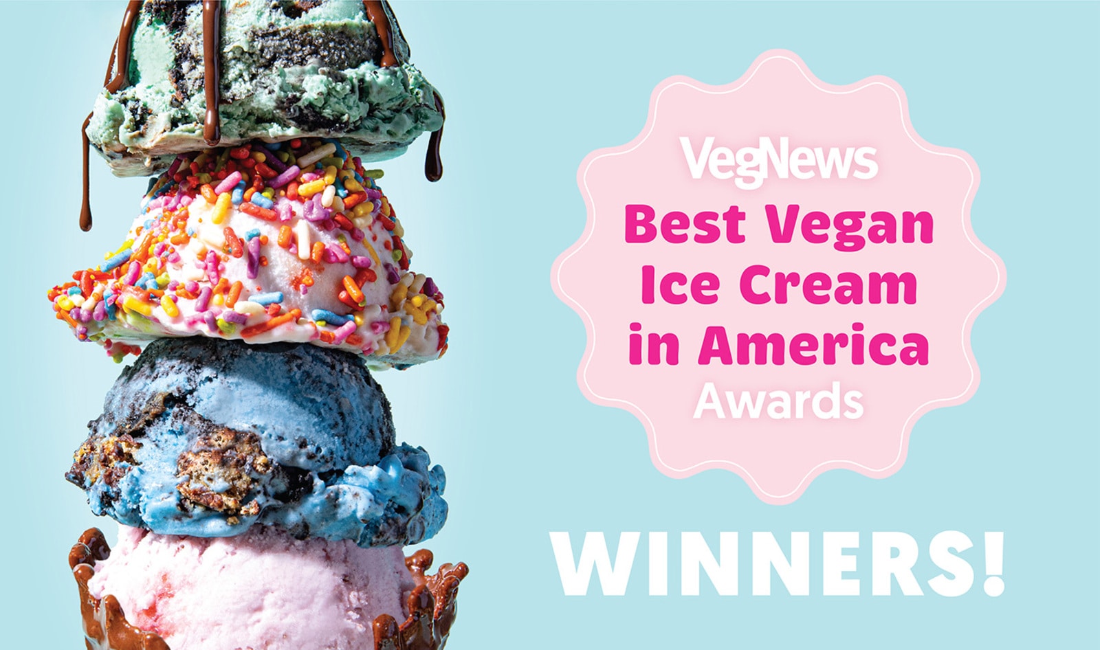 The Votes Are In. What is the Best Vegan Ice Cream in America?