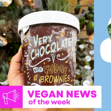 Trader Joe's and Ben & Jerry's New Ice Creams, and More Vegan Food News of the Week 