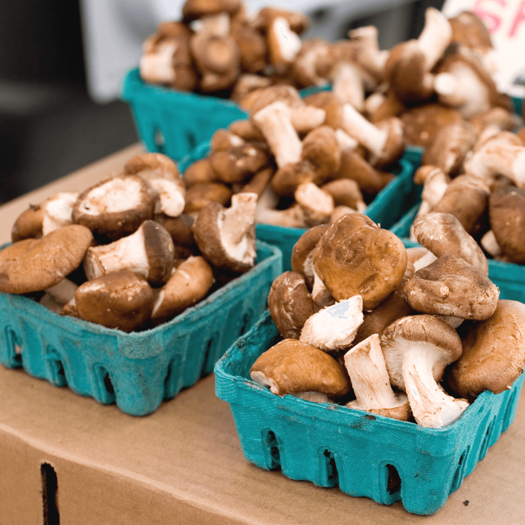 VegNews.MushroomGuide.Canva2