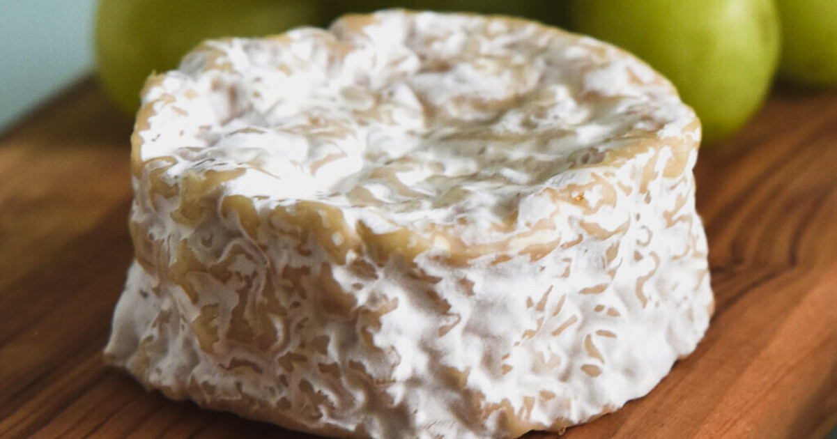 The Cheese-Loving French Now Want To Put $12 Million Toward Vegan Dairy - Vimarsana News