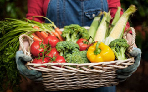 How to Make Culinary Passion a Career