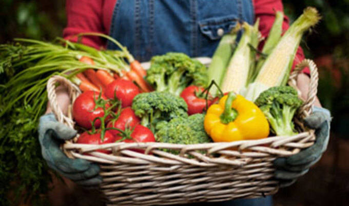 foodjobs