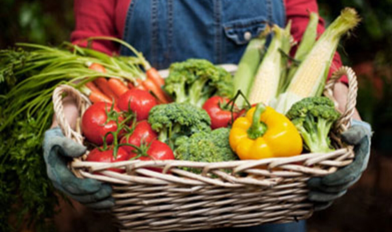 Should You Join a CSA?