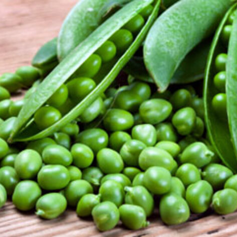 Petite Peas and Parsnips