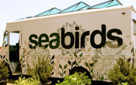 Top Vegan Food Carts