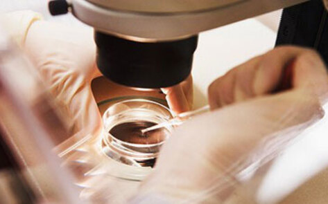 Animals Give Humans Antibiotic-Resistant Bacteria