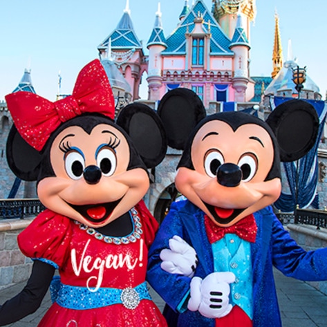 Vegan Guide to Disneyland: All the Magical Plant-Based Options